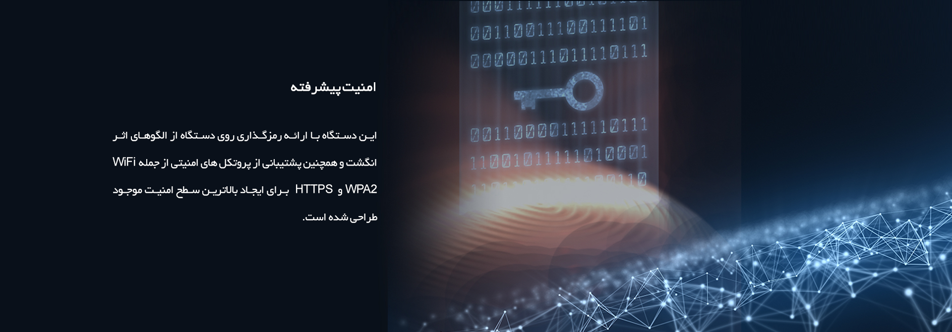 detail_bg8