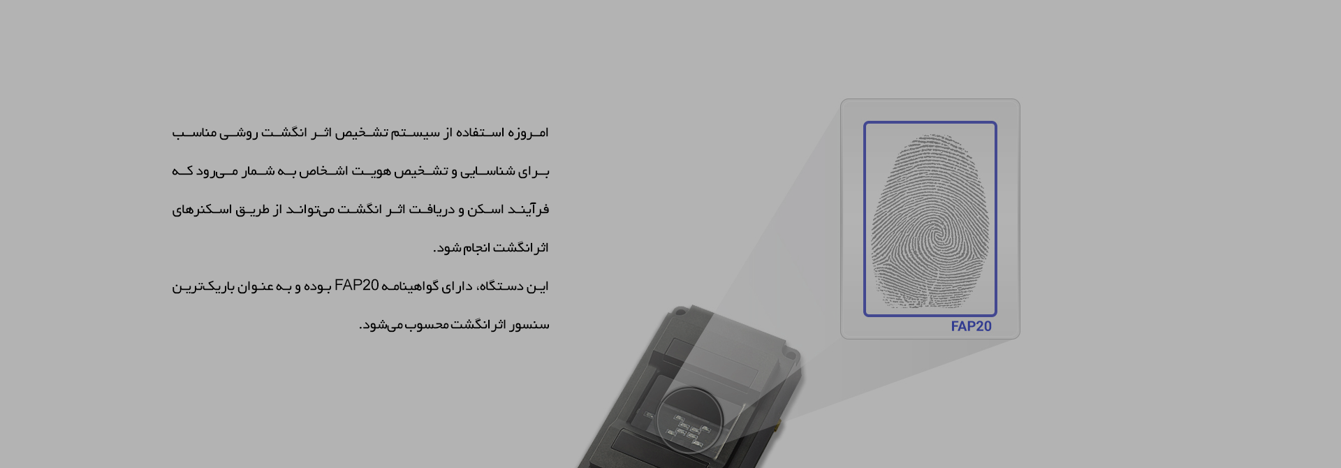 detail_bg7