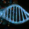 احراز هویت DNA، رویکردی نوین برای شناسایی