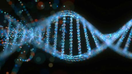 احراز هویت DNA، رویکردی نوین برای شناسایی